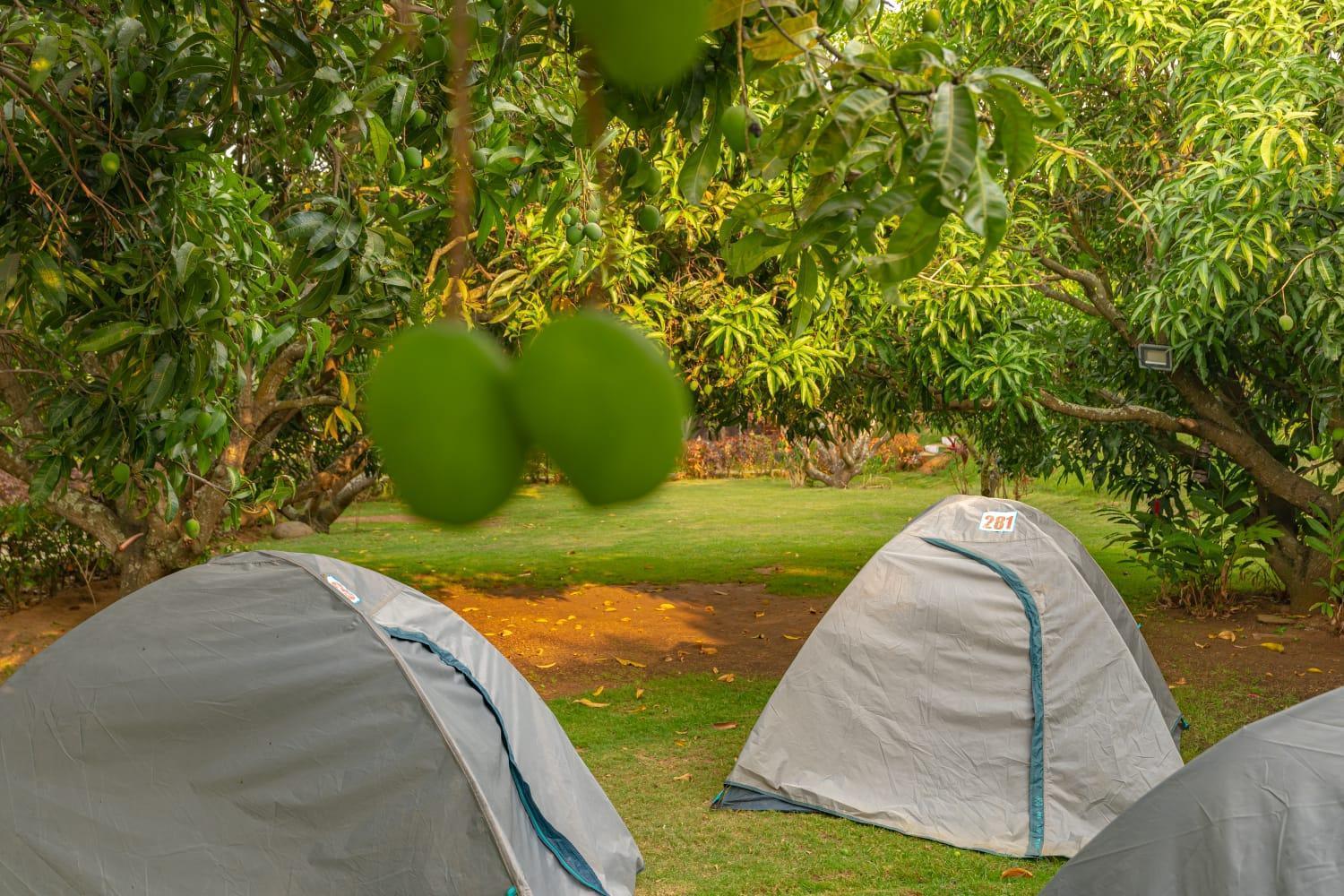 Q Mango Resort Rāmanagaram Exterior foto